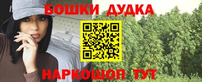 крисы Краснодар