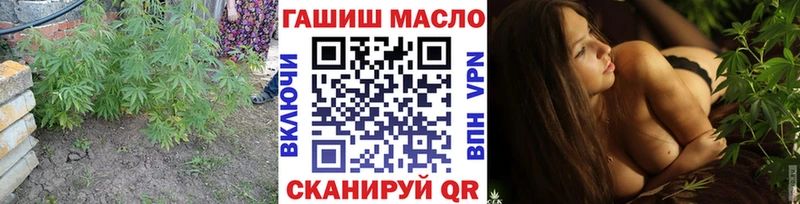 купить Зеленокумск ТГК концентрат