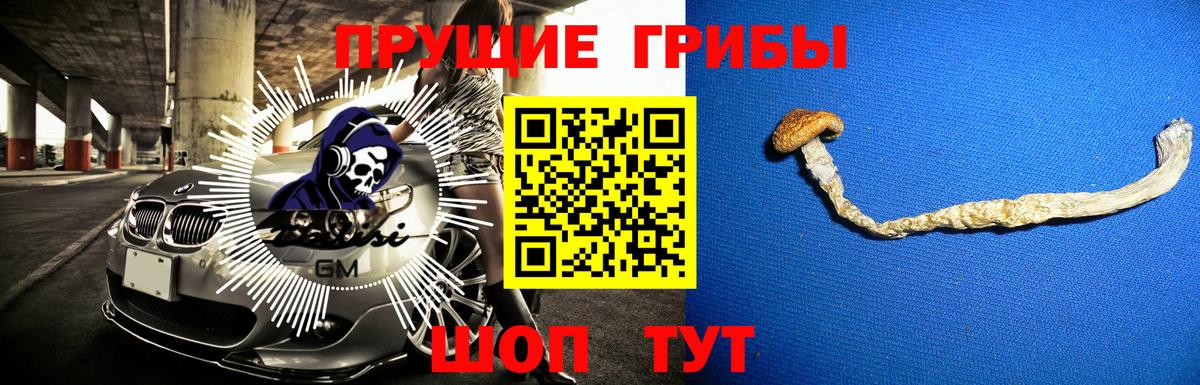 Зеленокумск  Галлюциногенные грибы Psilocybe  Вход с VPN  Галлюциногенные грибы ЛСД 