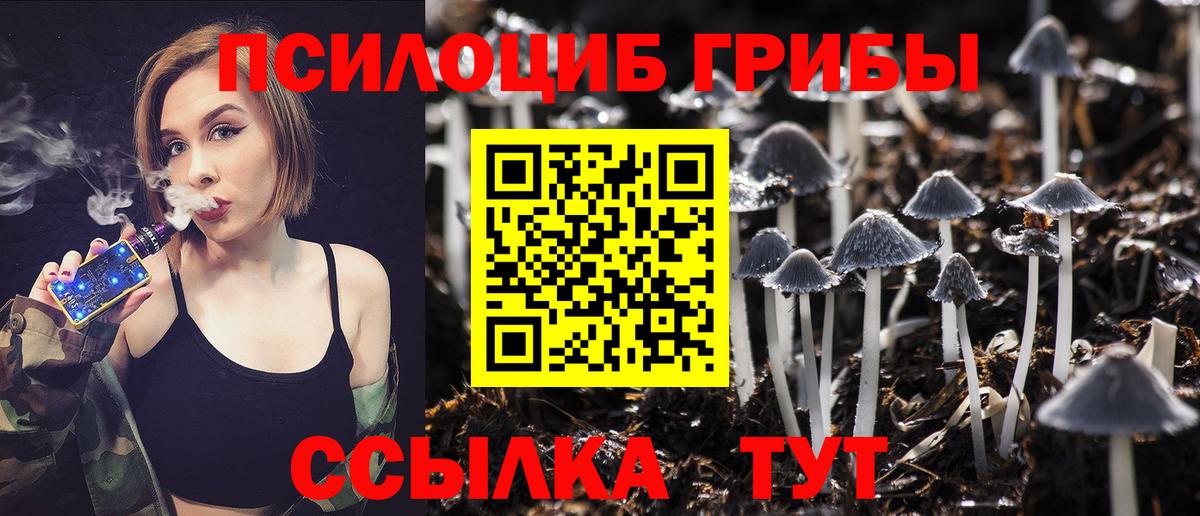 Бошки Шишки Зеленокумск
