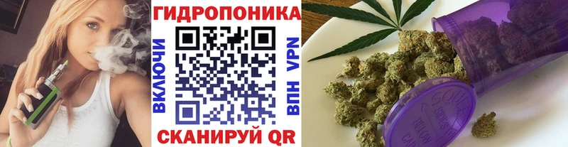 ОМГ ОМГ ТОР  Зеленокумск  Каннабис индика 